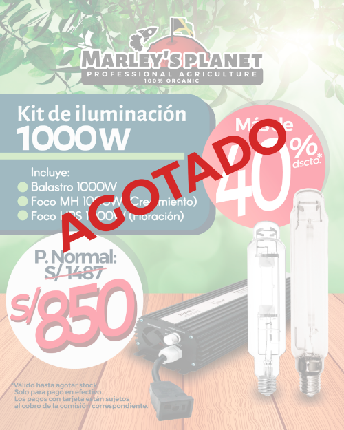 Imagen de Kit de Iluminación 1000W