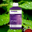 Imagen de PH plus - 500ml