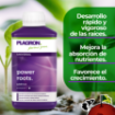 Imagen de Power roots 250ml