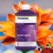 Imagen de PURE ZYM 1L