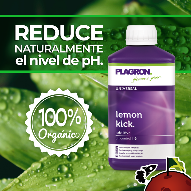 Imagen de LEMON KICK 500ml