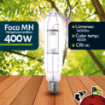 Imagen de Foco Halogenuro (MH) 400W