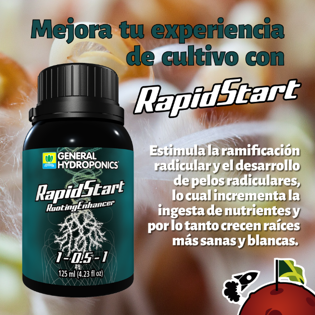 Imagen de RapidStart - 125ml -