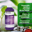 Imagen de Power roots 100ml