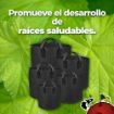 Imagen de Pack maceta de 5 galones geotextil