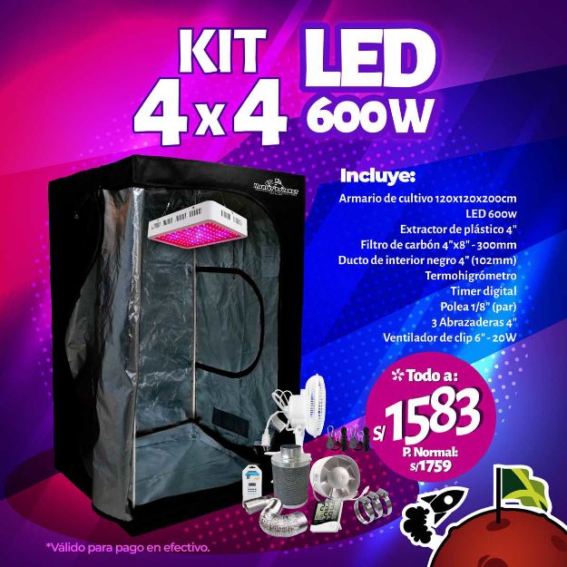 Imagen de KIT 4X4 LED 600W