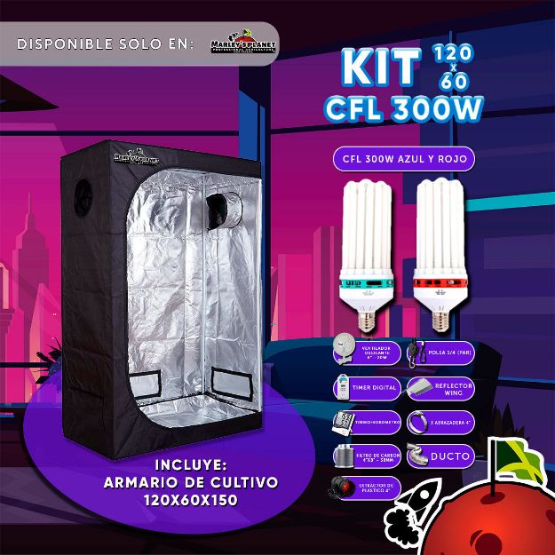 Imagen de KIT 120x60 - CFL 300w