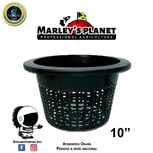 Imagen de Bucket basket 10" - maceta para hidroponía