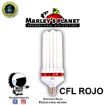 Imagen de Foco CFL 300w - Floración