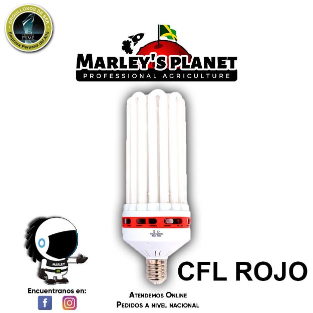 Imagen de Foco CFL 300w - Floración