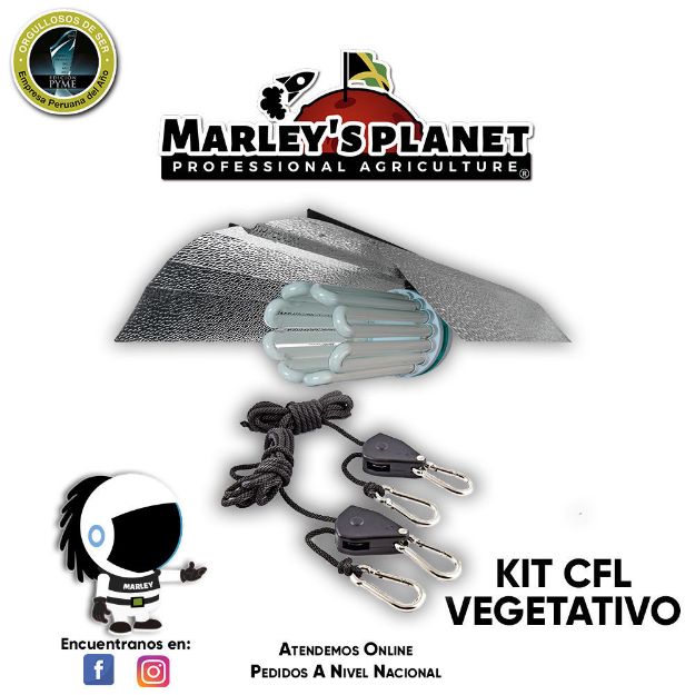 Imagen de KIT CFL 300w VEGETATIVO