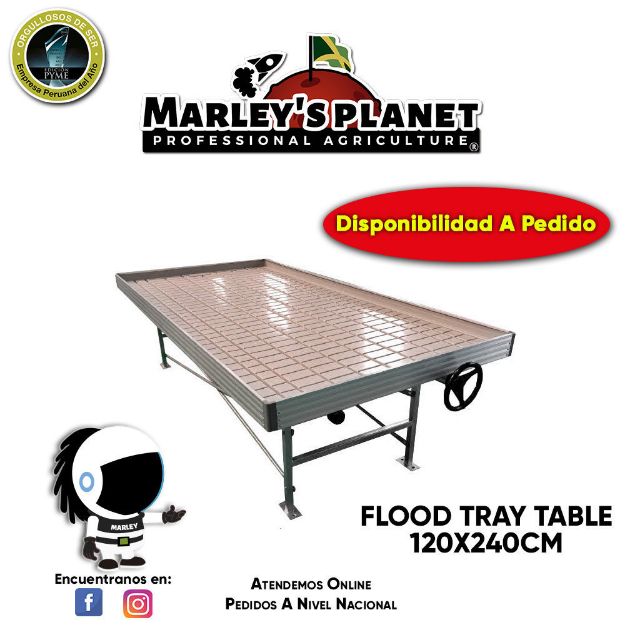 Imagen de FLOOD TRAY TABLE 120cmX240cm / Rolling Bench