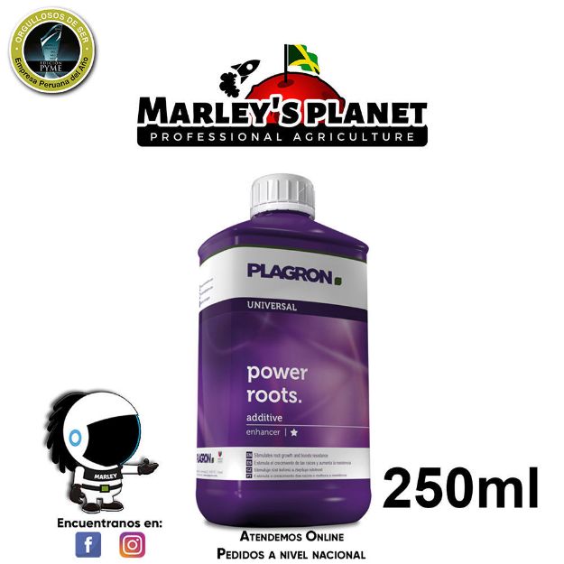 Imagen de Power roots 250ml