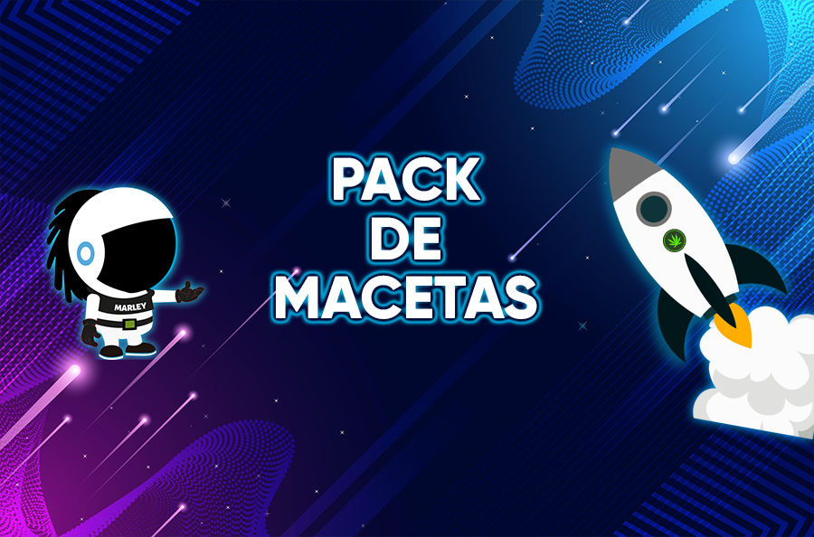 Imagen para la categoría PACK DE MACETAS