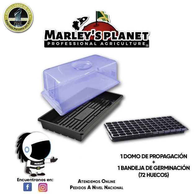 Imagen de KIT DE CLONACIÓN