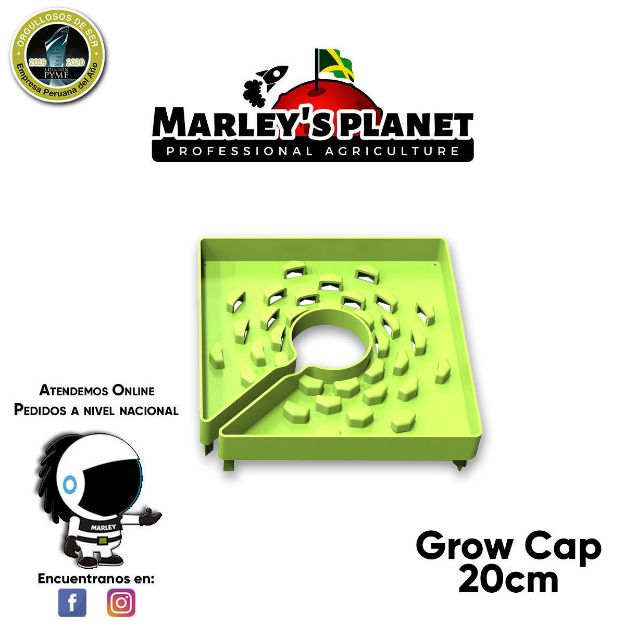 Imagen de GROW CAP 20cms