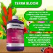 Imagen de TERRA BLOOM 1L