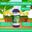 Imagen de ALGA BLOOM 100ml