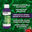 Imagen de ALGA GROW 100ml