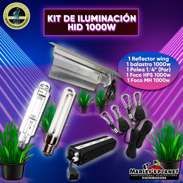 Imagen de KIT DE ILUMINACIÓN HID 1000W