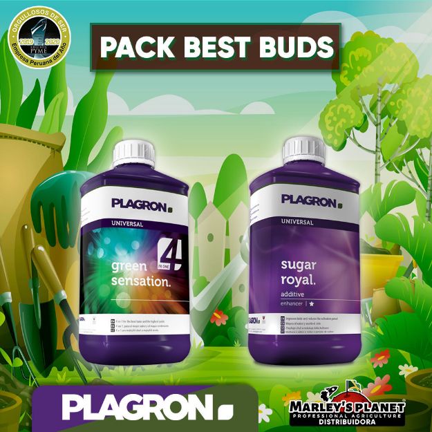 Imagen de PACK BEST BUDS 250ml