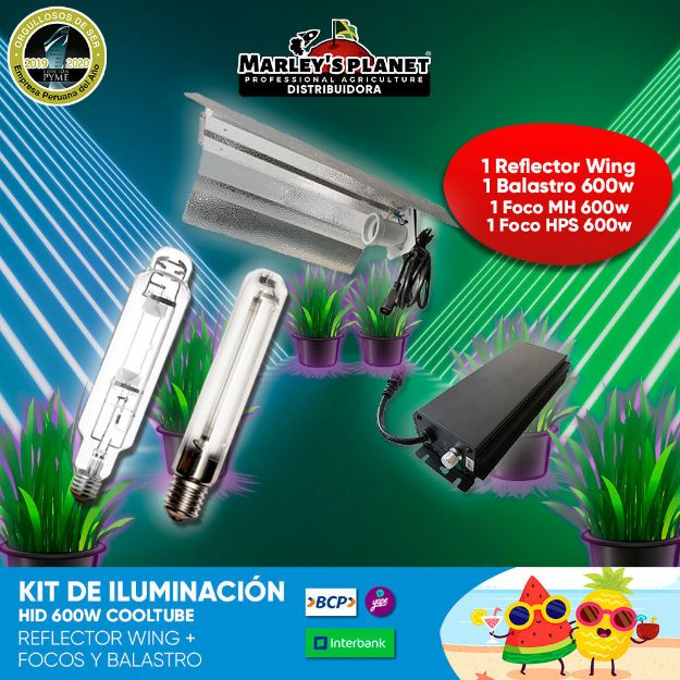 Imagen de KIT DE ILUMINACIÓN HID 600W