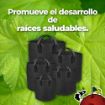 Imagen de Pack maceta de 3 galones geotextil