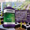 Imagen de Alga Grow 250ml