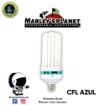 Imagen de Foco CFL 300w - Crecimiento