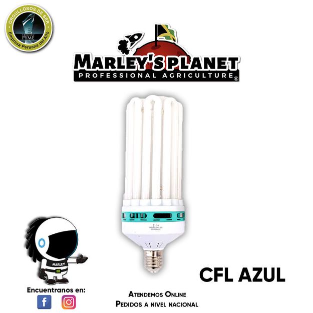 Imagen de Foco CFL 300w - Crecimiento