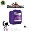 Imagen de PURE ZYM 5L