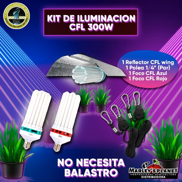 Imagen de KIT DE ILUMINACIÓN CFL 300W